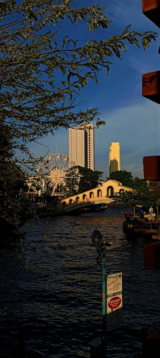 Photo #11609828