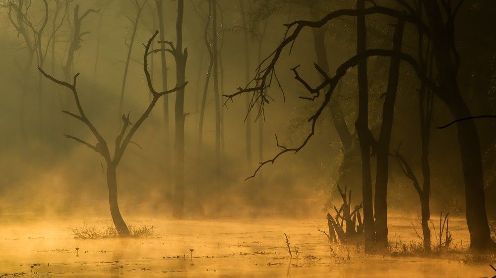 Photograph by Kavilapati Santhosh Prakash