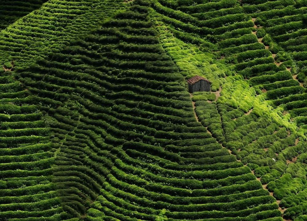 Photograph by Esin Sağır