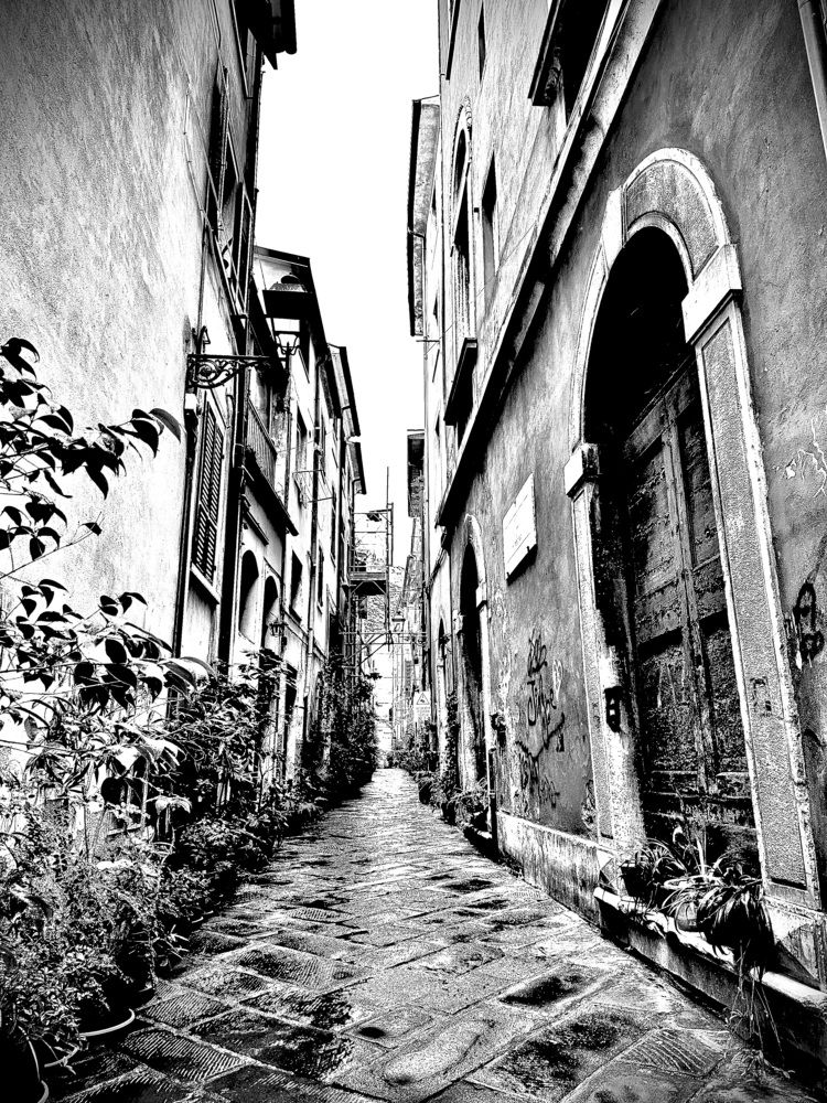 Street of Carrara