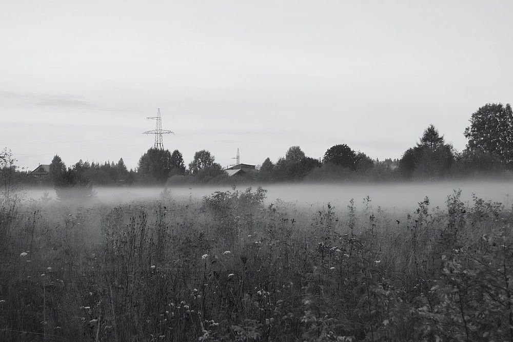 Photograph by София Бояринцева