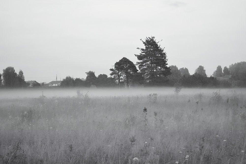 Photograph by София Бояринцева