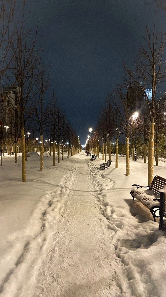 Photograph by Dina Din