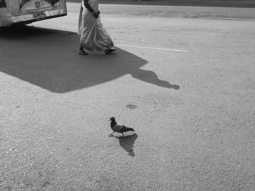 Photograph by Biswanath rout