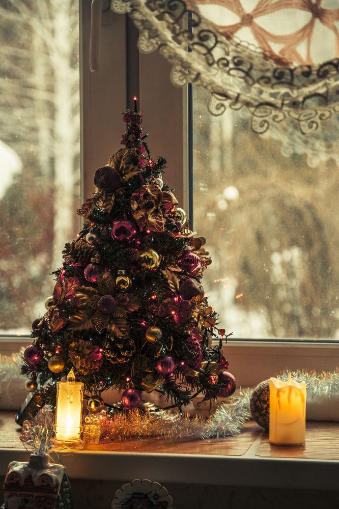 Фотография автора Анастасия Додрова