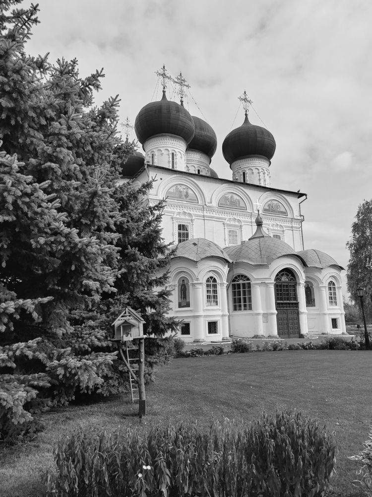 Photograph by Ирина Дружинина