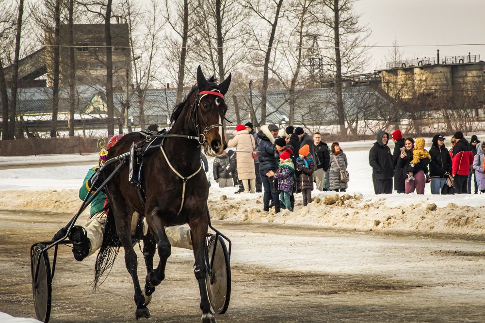 Photograph by Мария Юшина