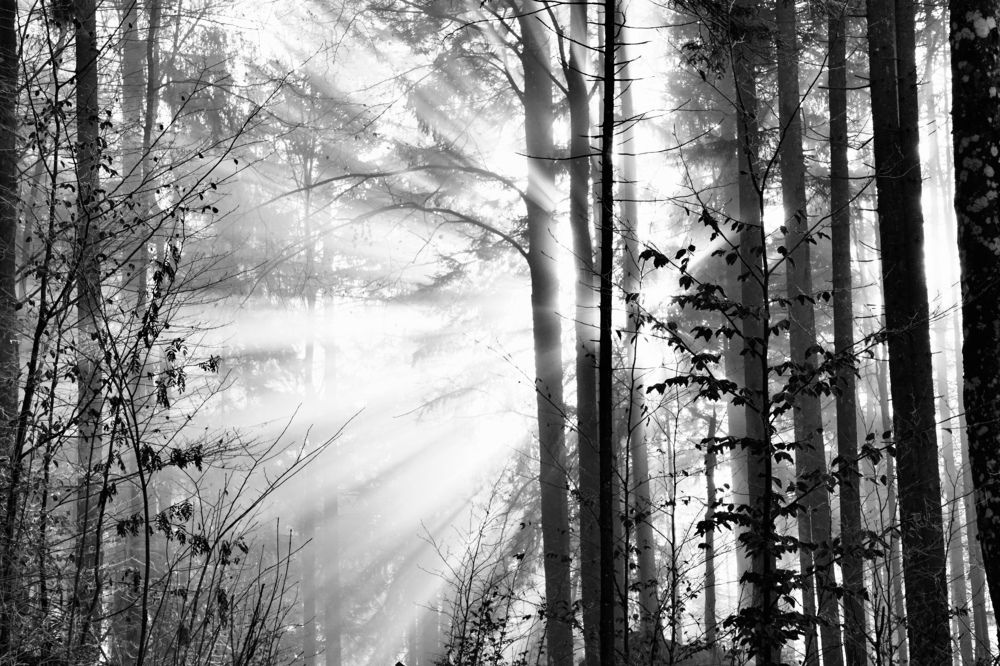 Фотография автора Liudmila Kiermeier