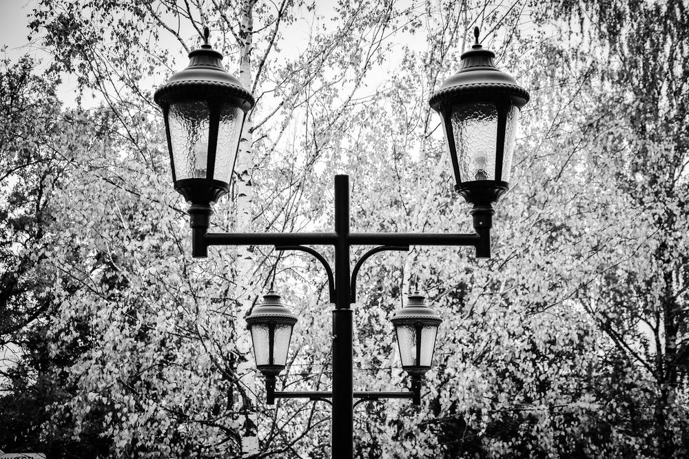 Photograph by Дмитрий Петров