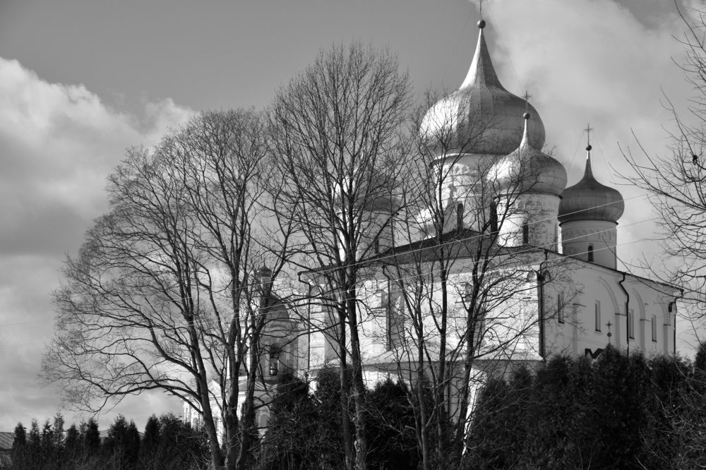 Photograph by Дмитрий Петров