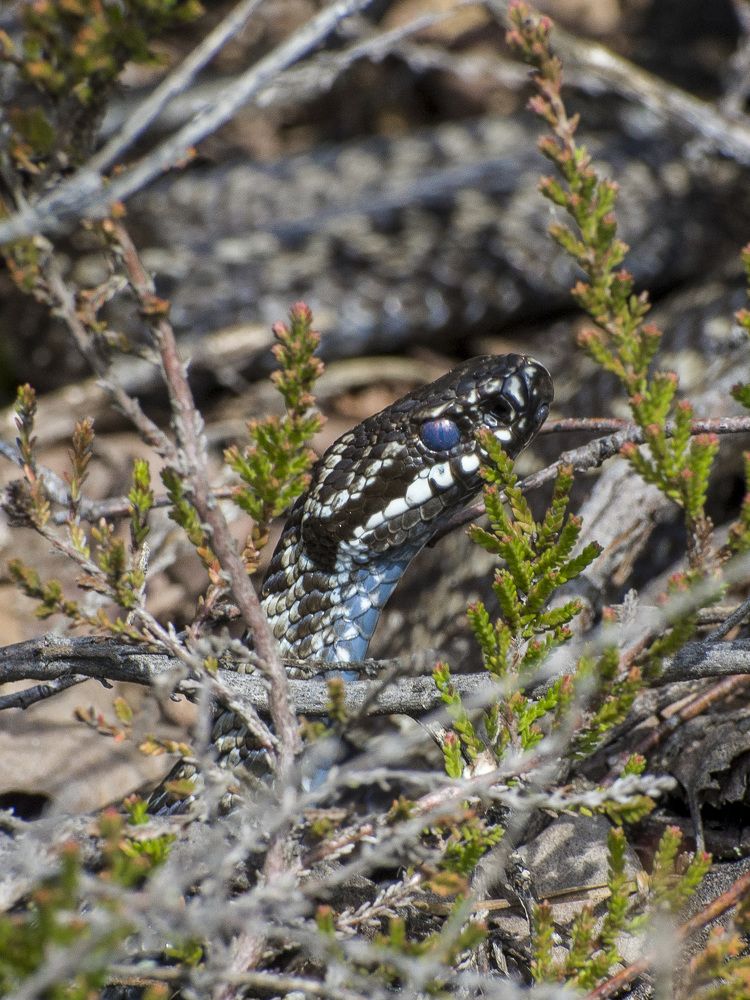 Photograph by Роман Кудрявцев