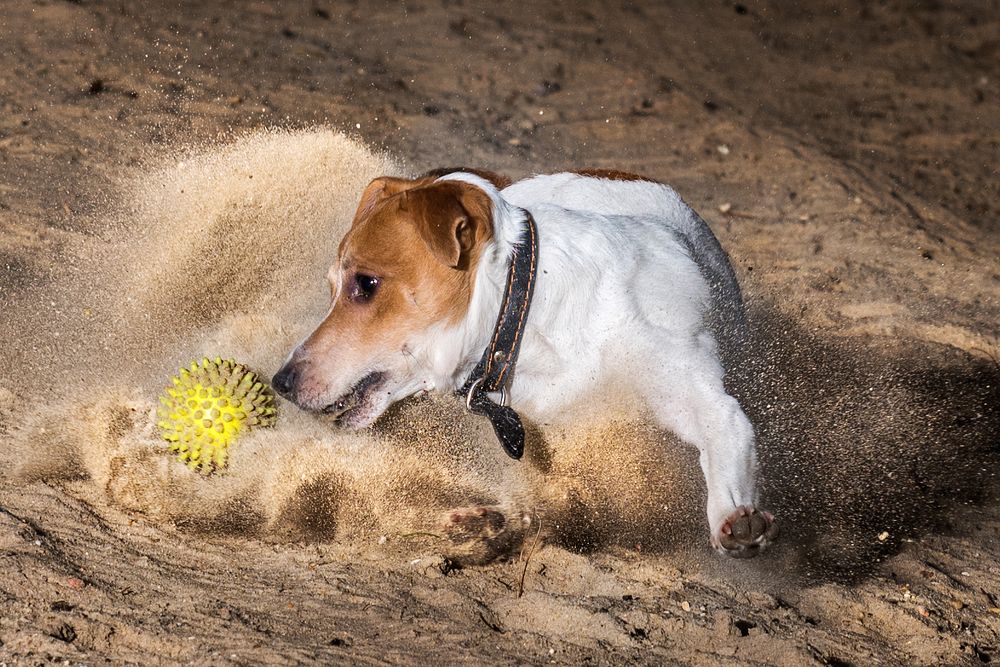Фотография автора Владислав Храмцов