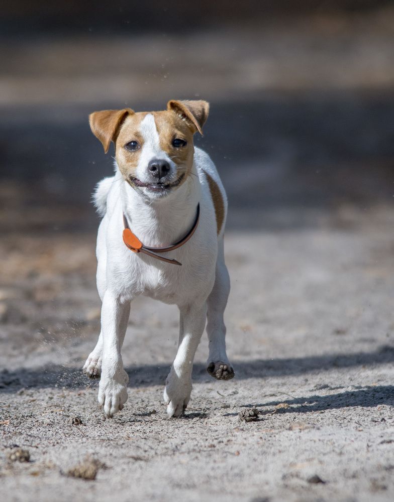 Photograph by Роман Кудрявцев