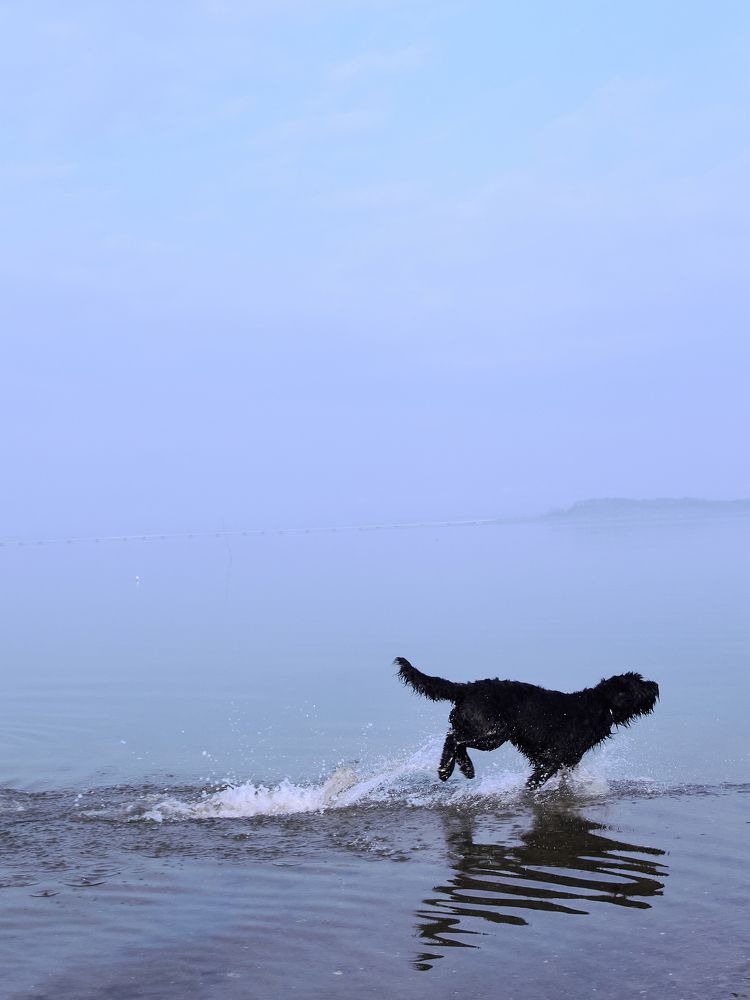 Фотография автора Оксана Мякотина