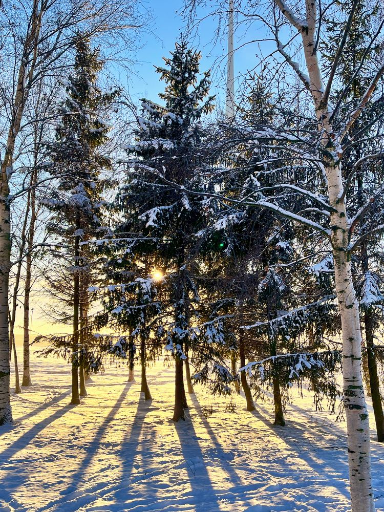 Зимний парк