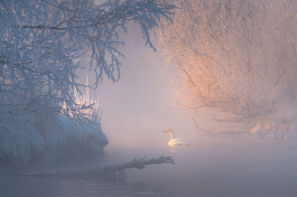 Алтайский пейзаж.