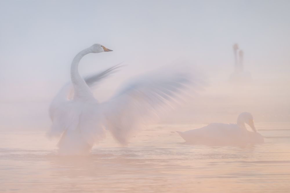 Морозная нежность...