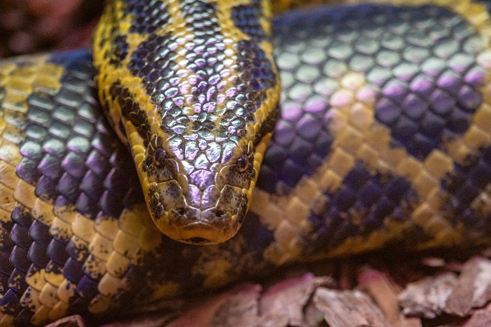 Фотография автора Валерий Бычков