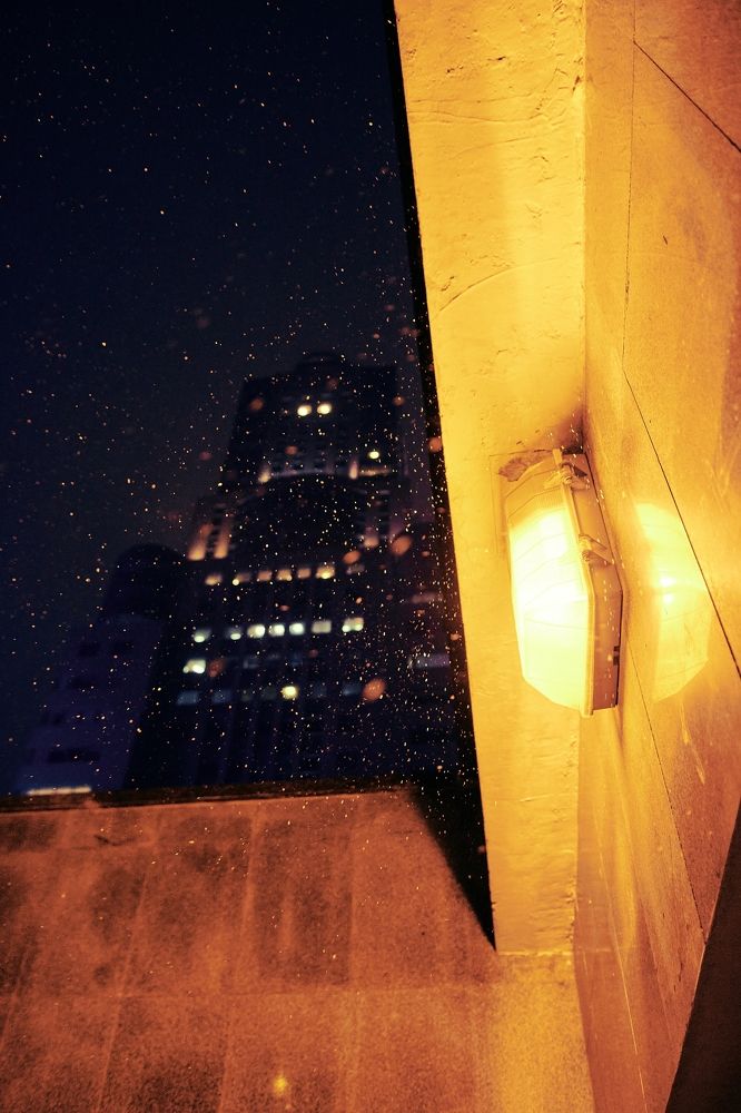 Фотография автора Александр Жданов