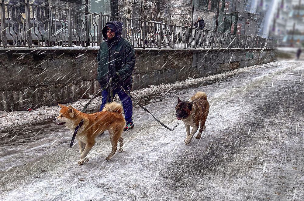 Фотография автора Графов Борис