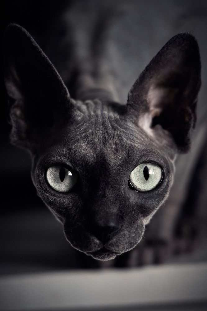 Фотография автора Вострецов Иван