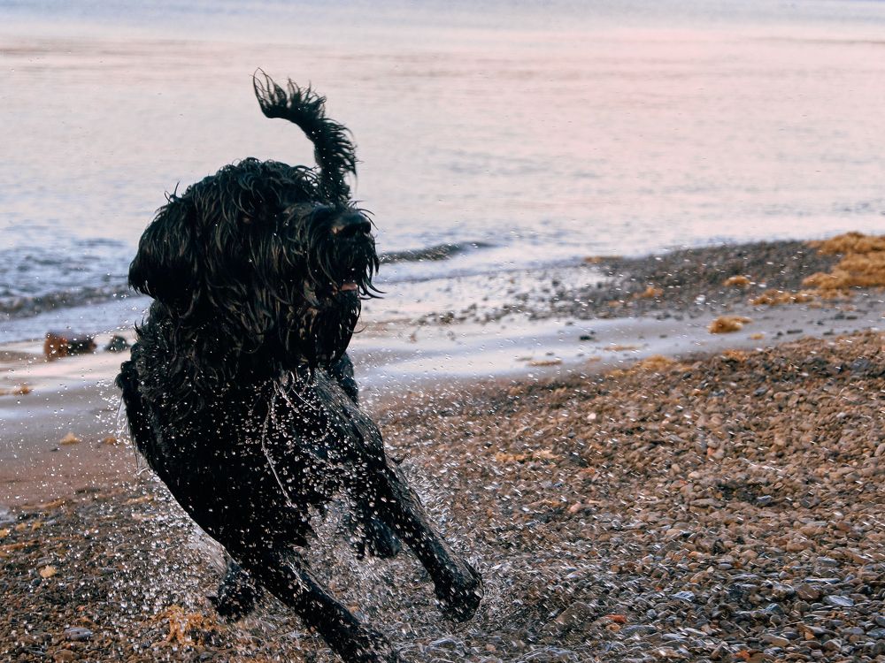 Фотография автора Оксана Мякотина