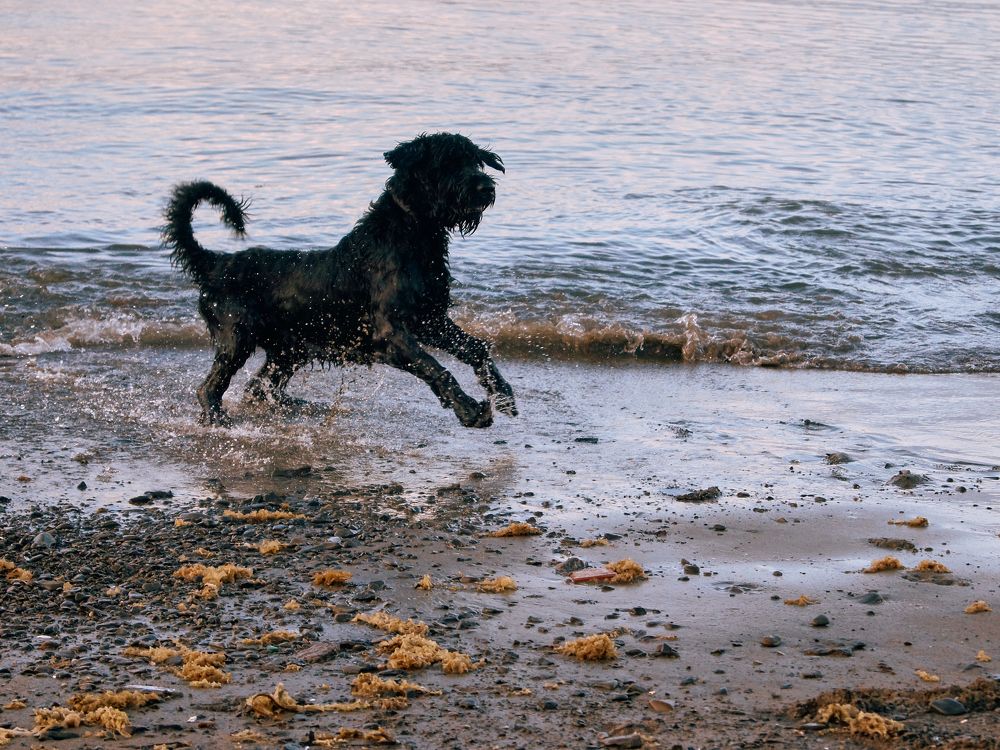 Фотография автора Оксана Мякотина