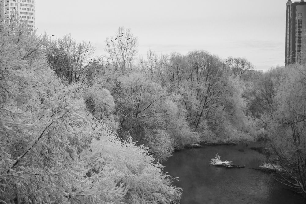 Фотография автора Анастасия Додрова