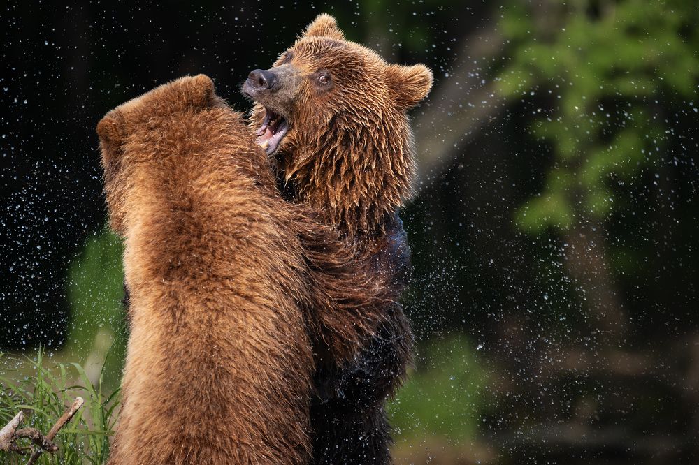 Танго на реке...