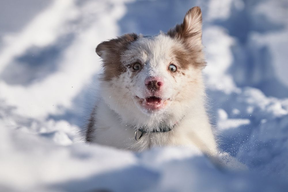 Фотография автора Вострецов Иван