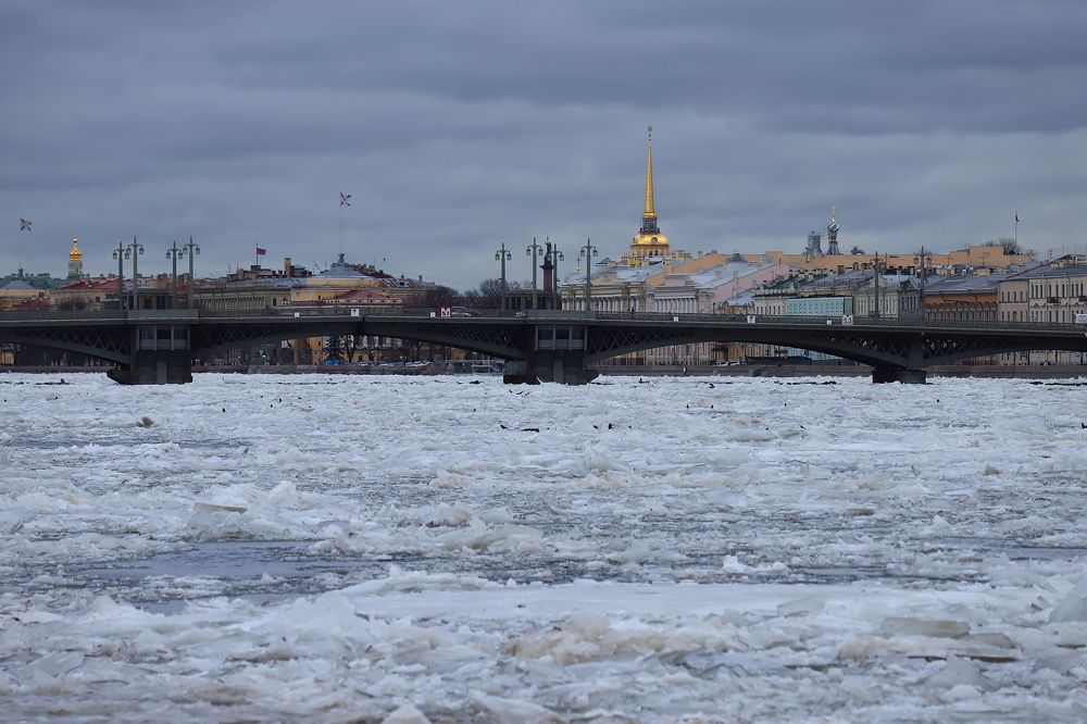 Ледяное безмолвие