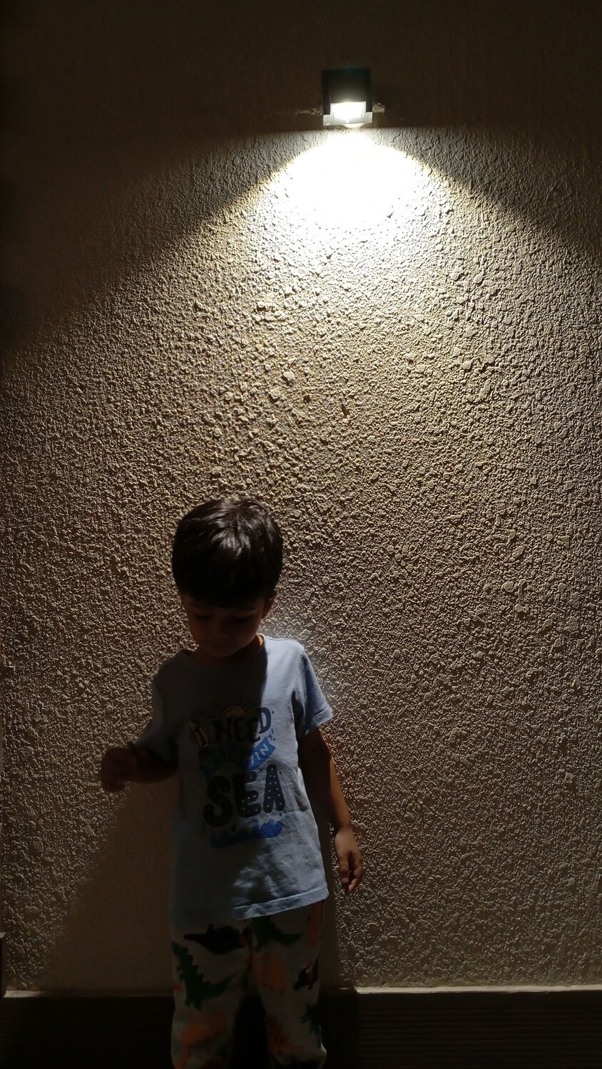 Photo #11610378