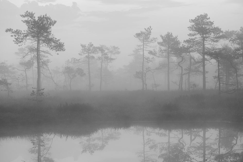 Photograph by Чехонин Александр