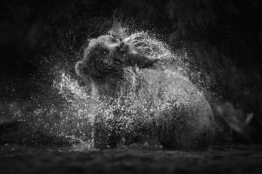 Камчатский Драйв.