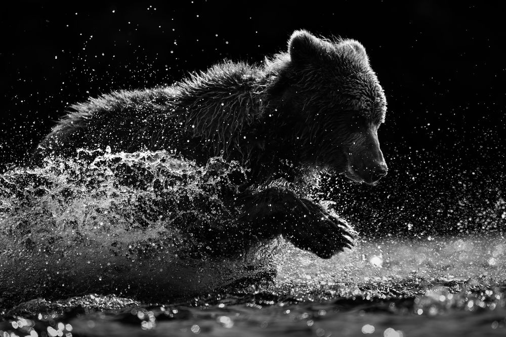 Вечерний драйв.