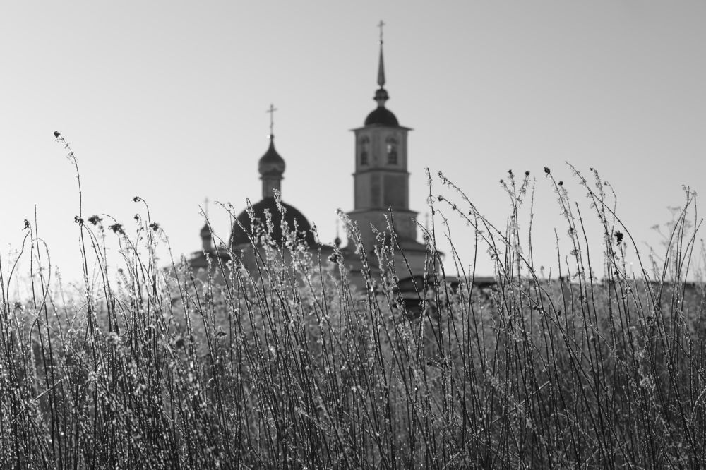 Photograph by Елена Петелина