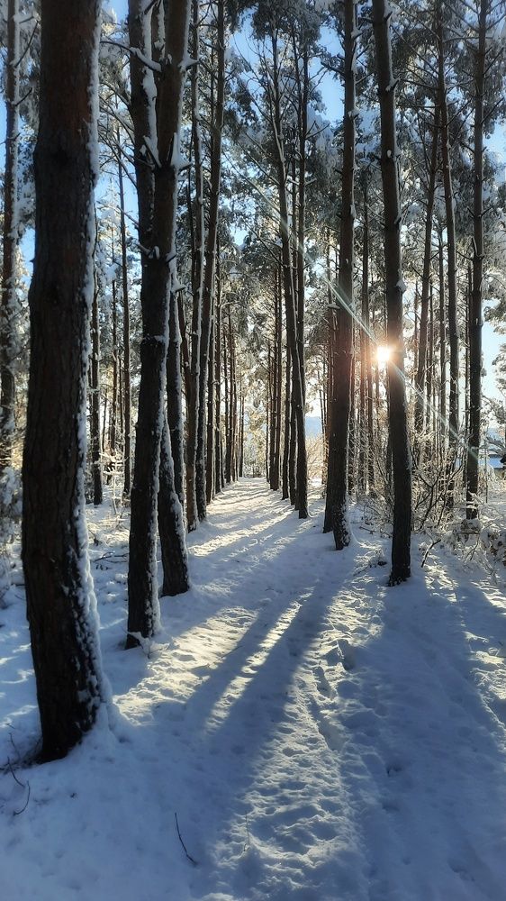 Photograph by Denisa