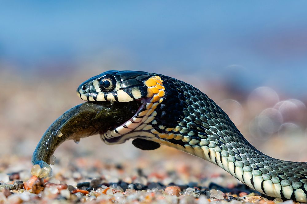 Photograph by Абросимов Александр