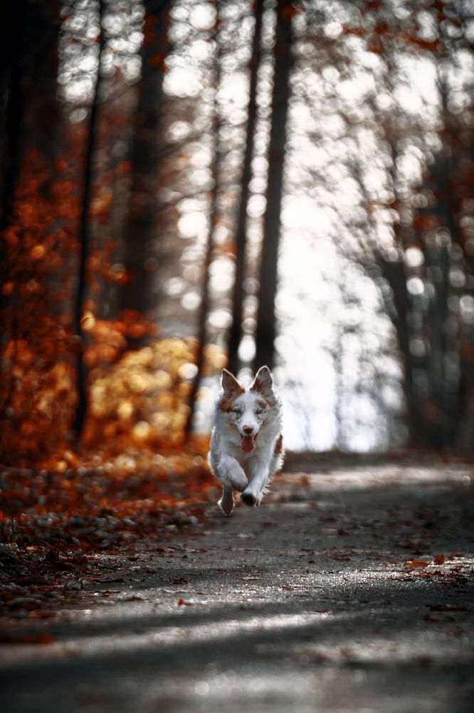 Фотография автора Вострецов Иван