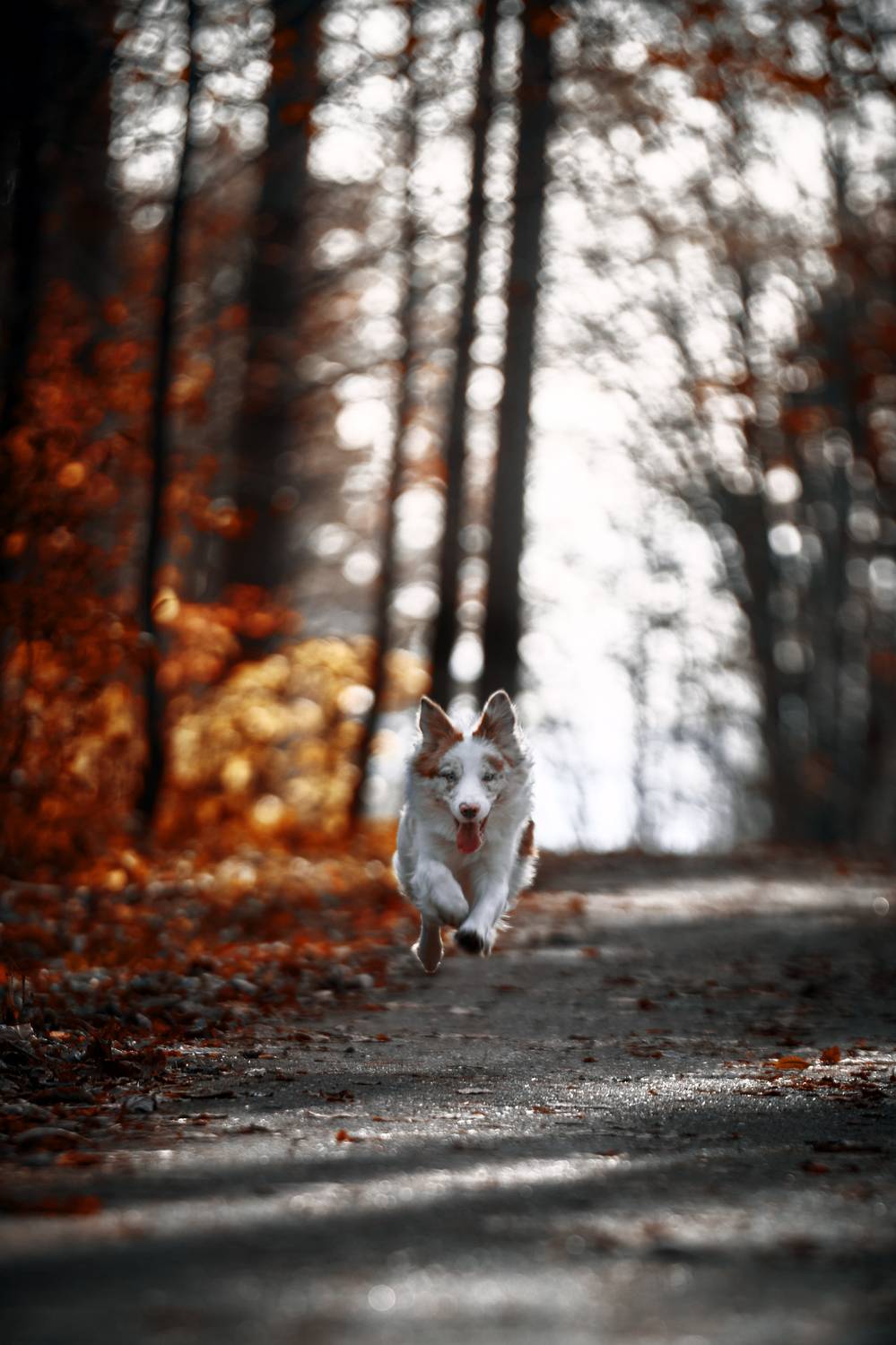 Фотография #11610479