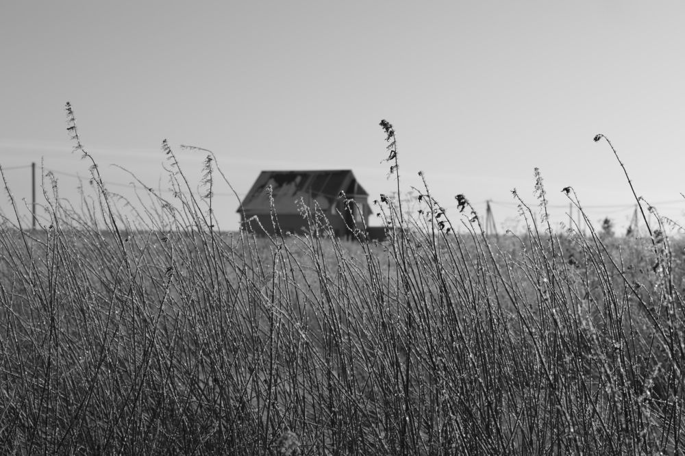 Photograph by Елена Петелина