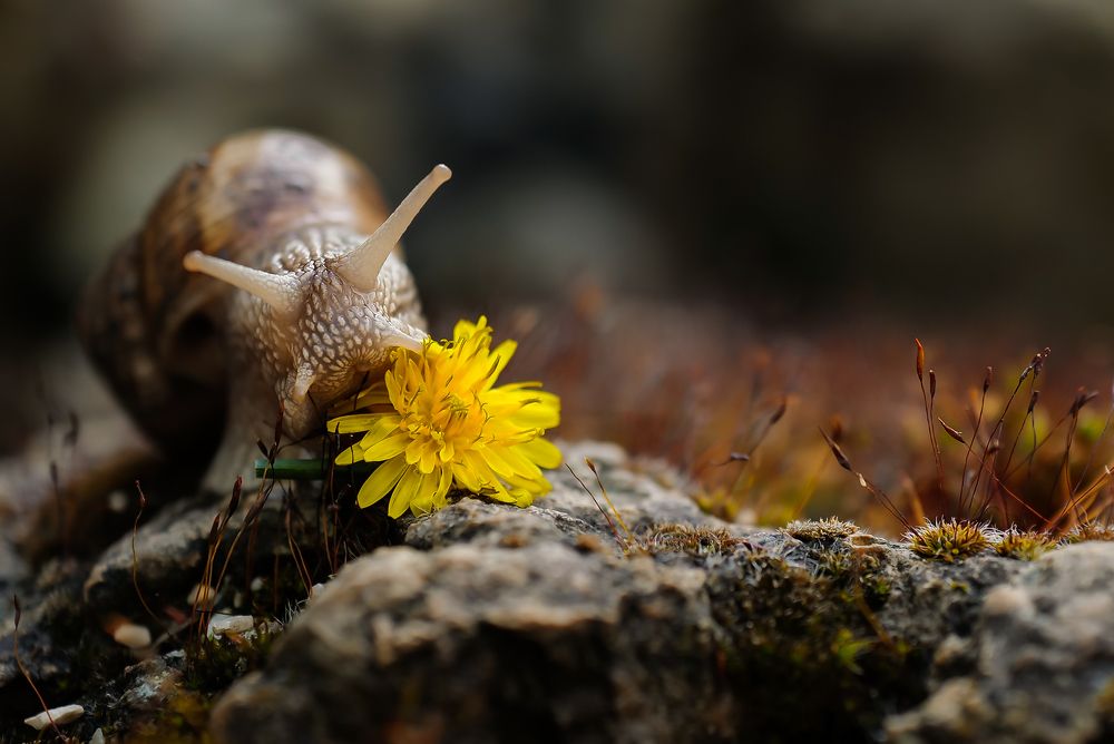 Photograph by Yulia Stepanova