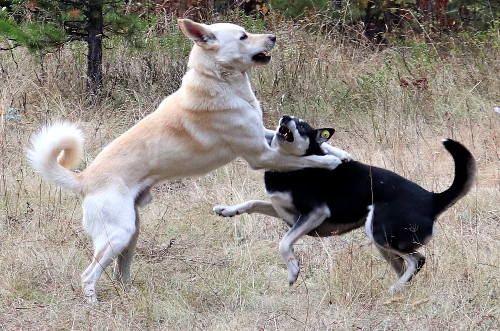 Photograph by Татьяна Котельникова