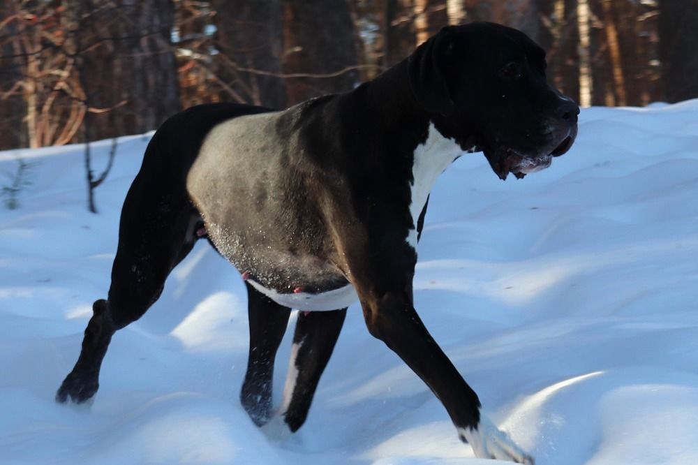 Photograph by Татьяна Котельникова