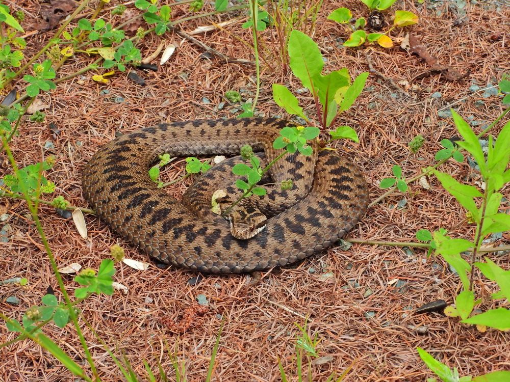 Photograph by Дмитрий Юдин