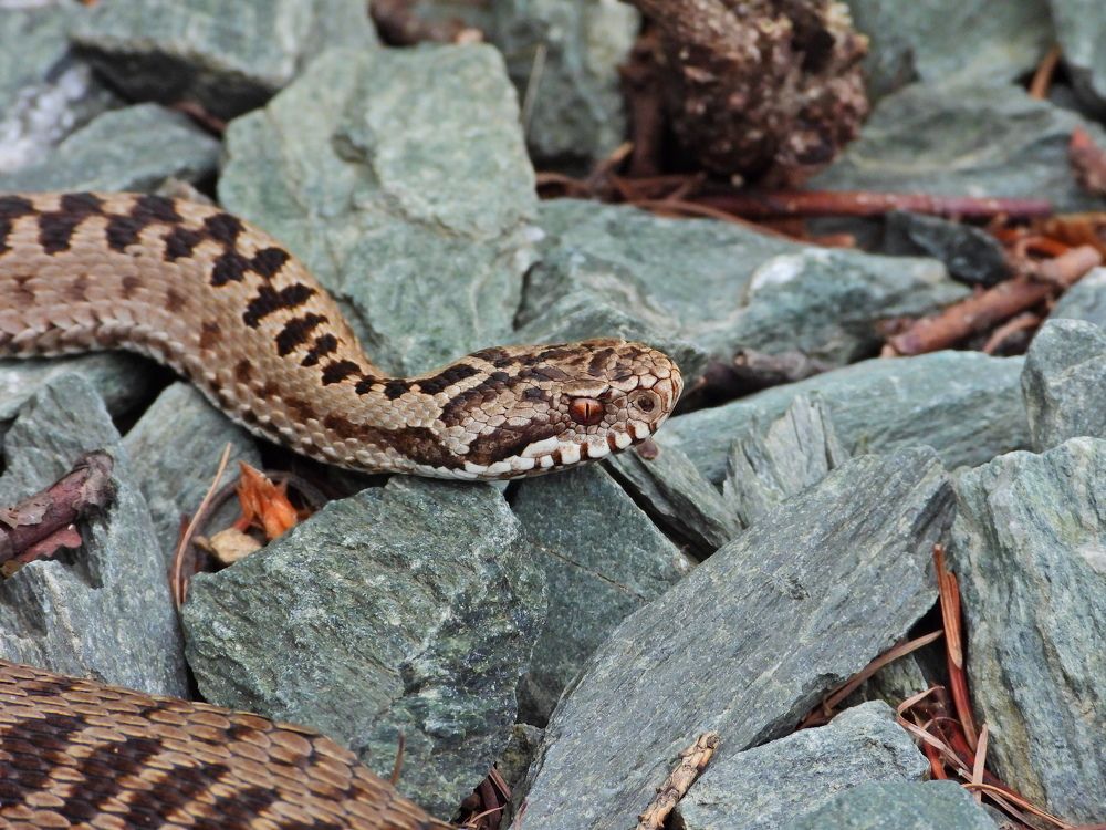 Photograph by Дмитрий Юдин