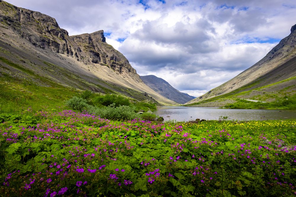 Photograph by Вячеслав Мельников