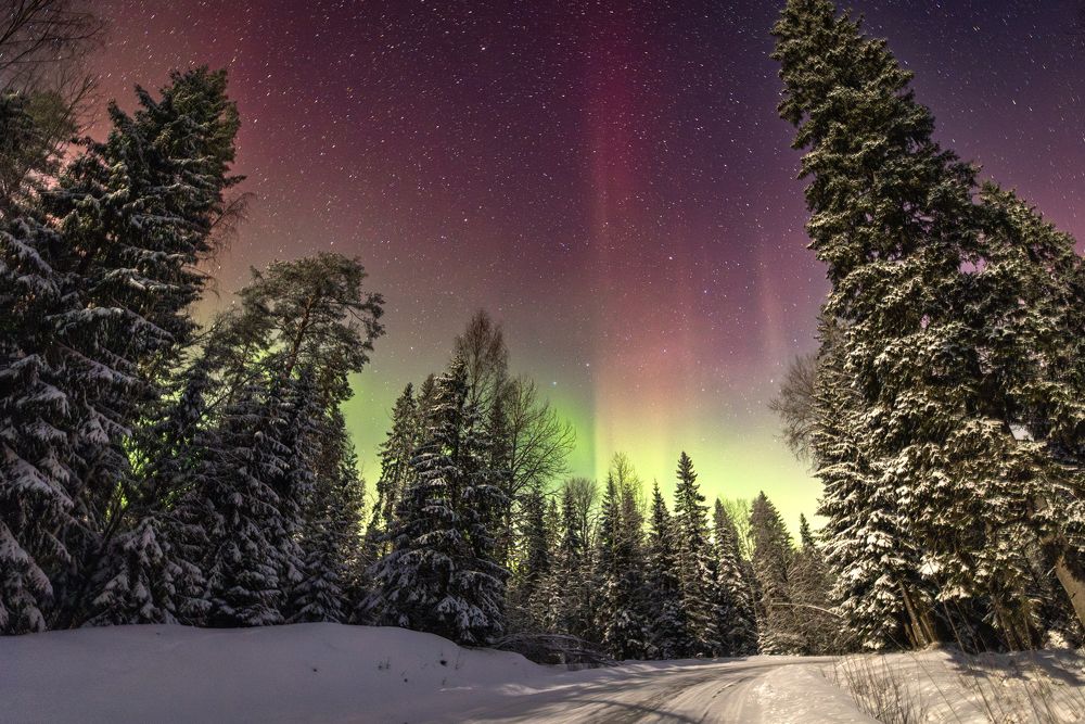 Photograph by Вячеслав Мельников