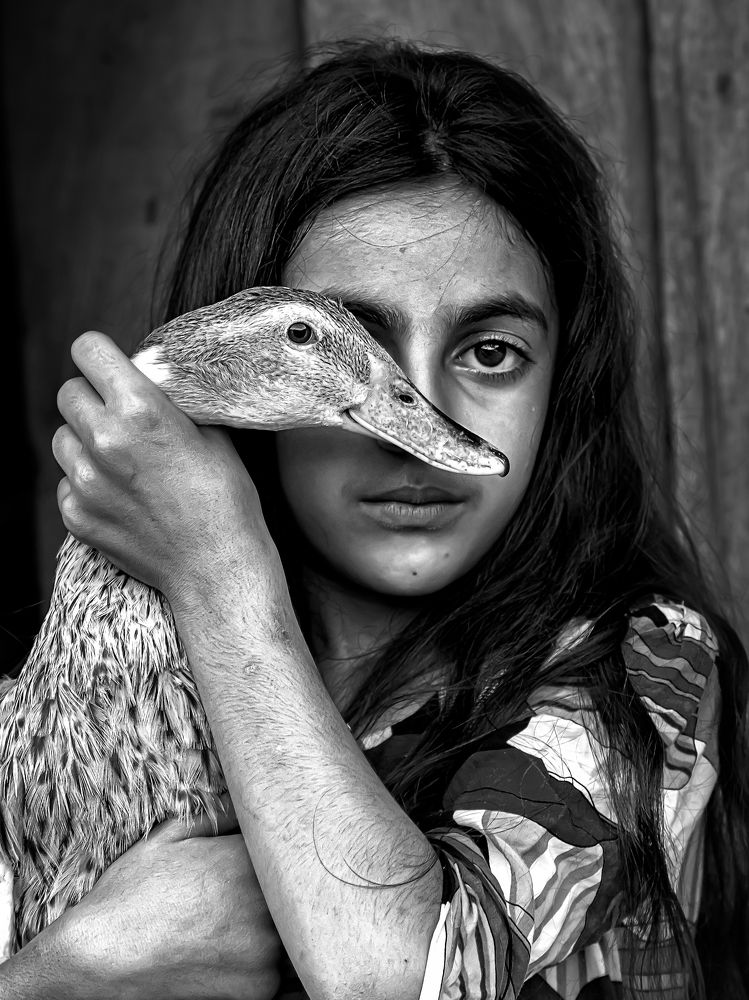 Photograph by Amin Mahdavi