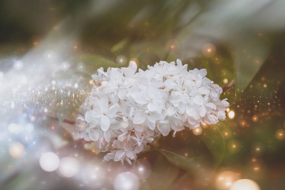 Photograph by Оксана Пономаренко